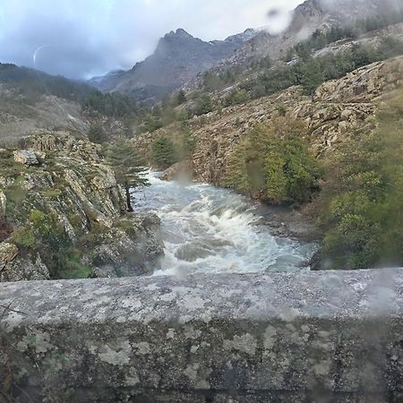 Appartamento Niolu Albertacce Esterno foto