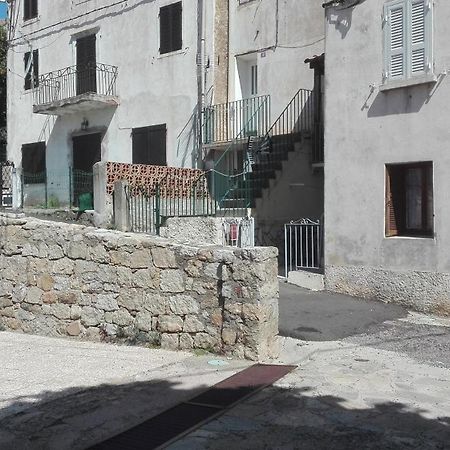 Appartamento Niolu Albertacce Esterno foto