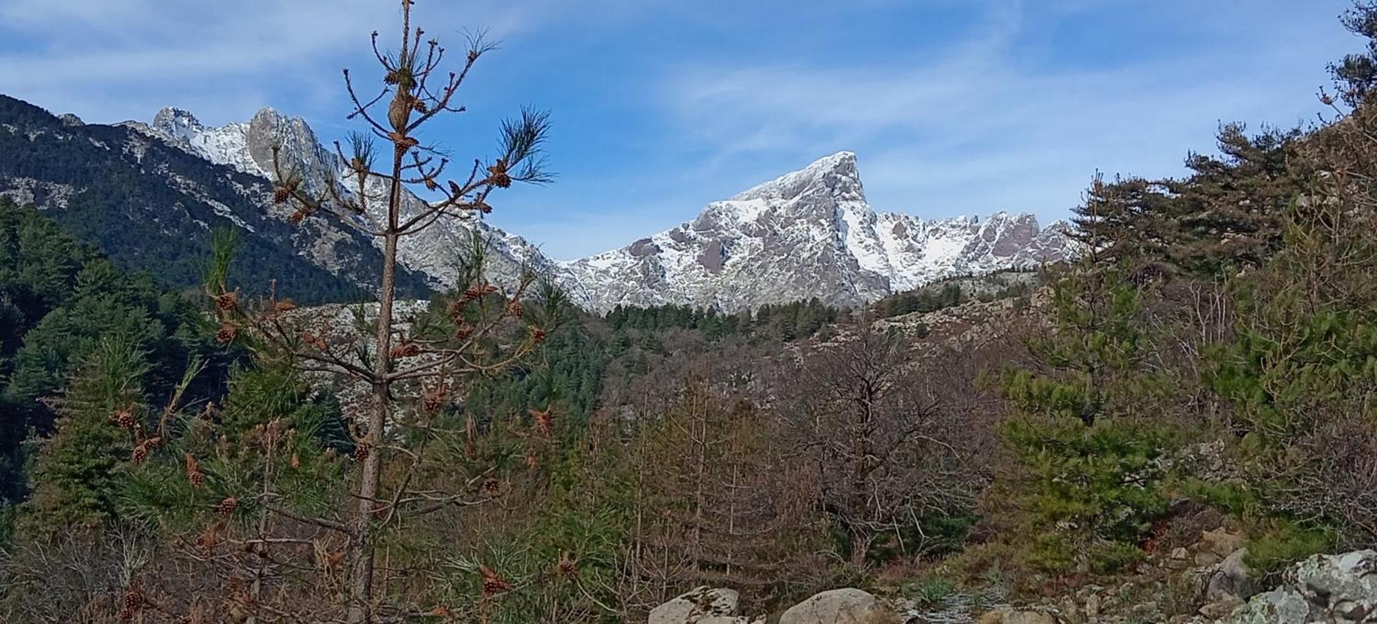 Appartamento Niolu Albertacce Esterno foto