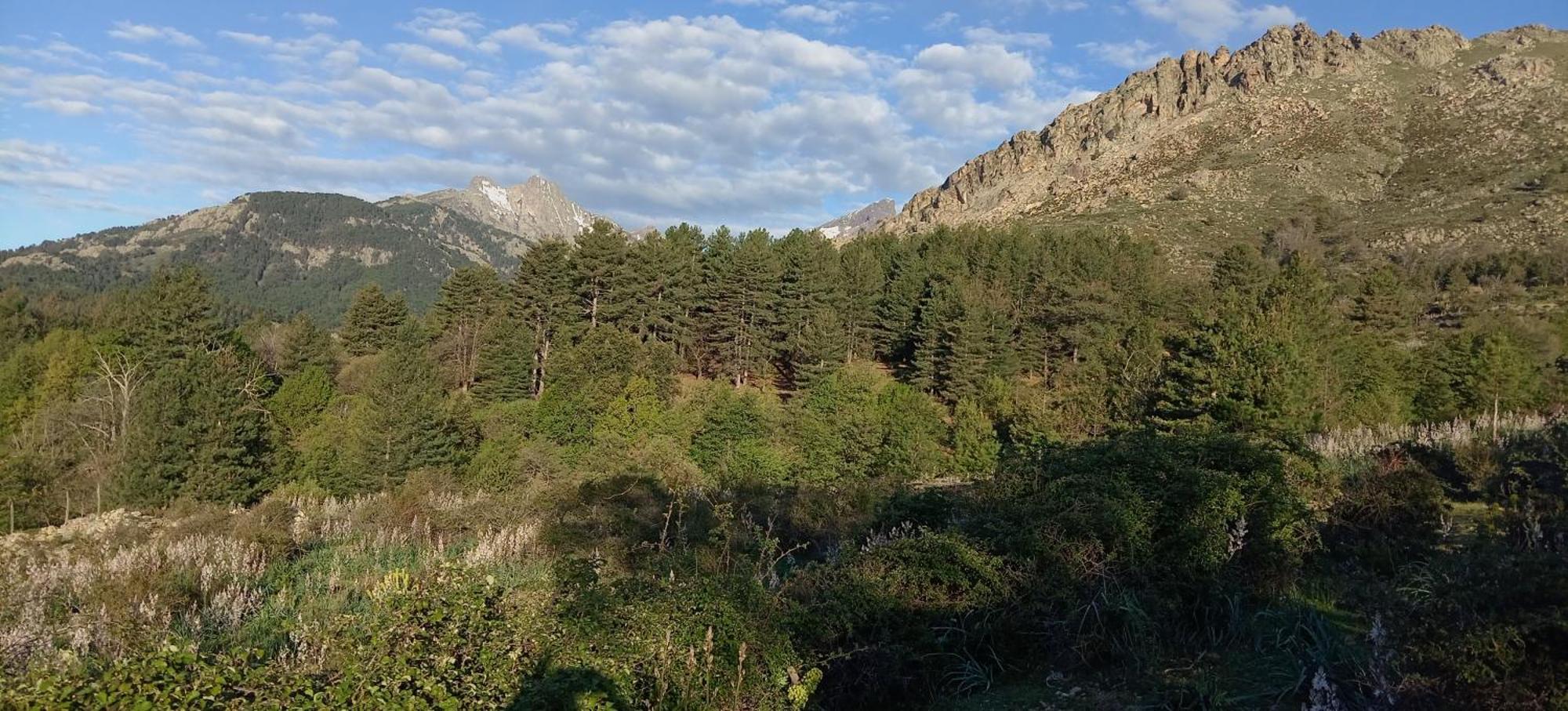 Appartamento Niolu Albertacce Esterno foto